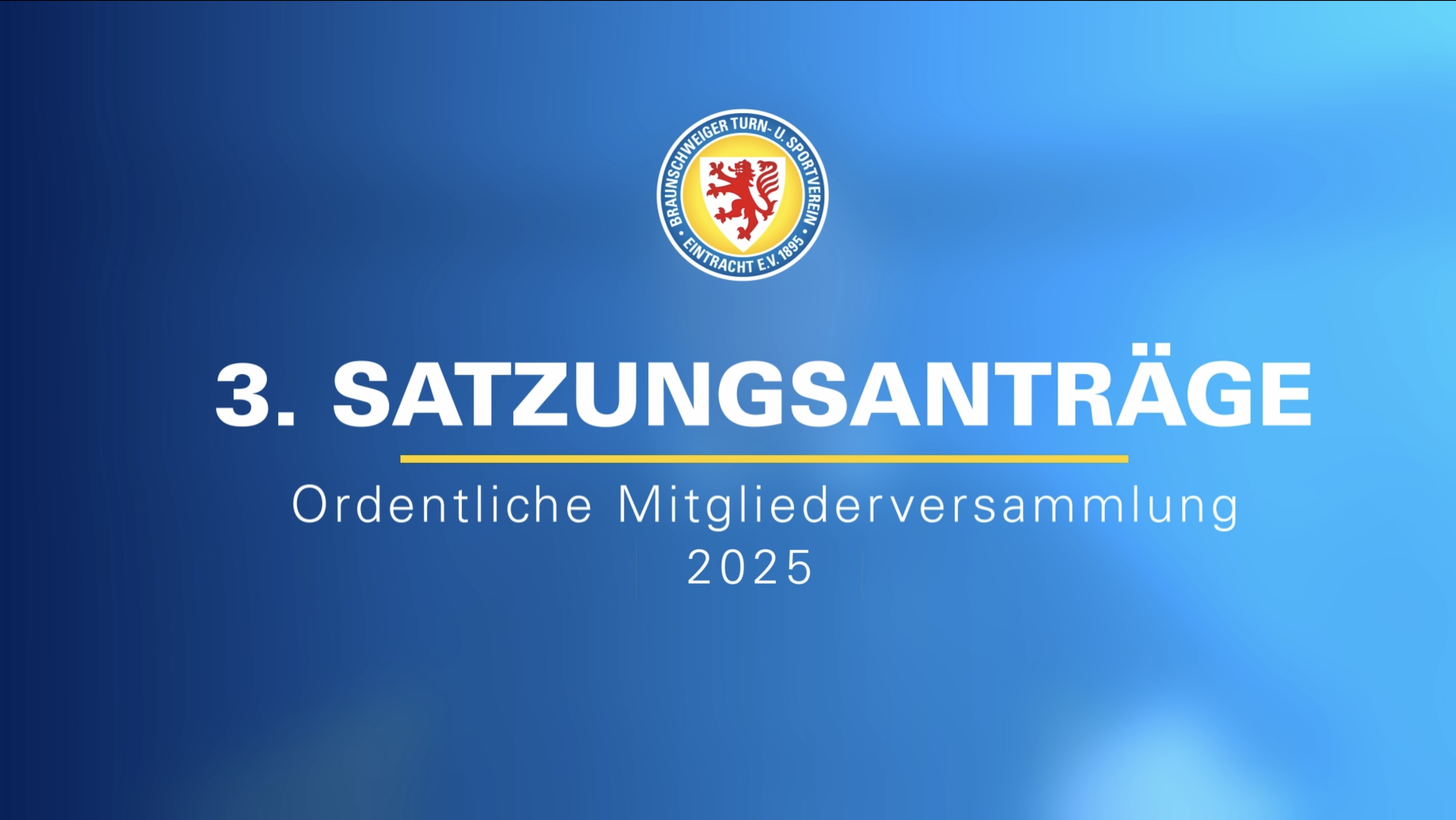 3.Satzungsanträge Mitgliederversammlung 2025